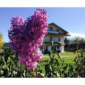 Agriturismo Le Terre d'Abruzzo Country House