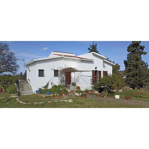 ALONI Cretan traditional house in Vamos Chania