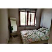 Apartament 12