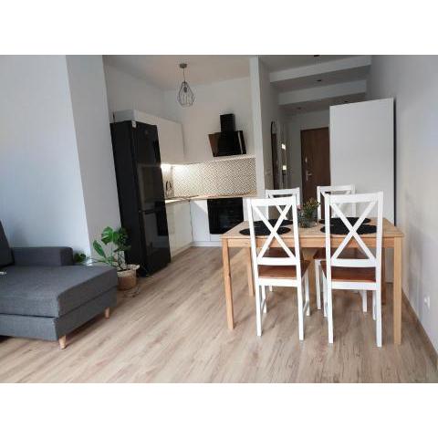 Apartament Stare Kino