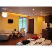 Apartament u Joli