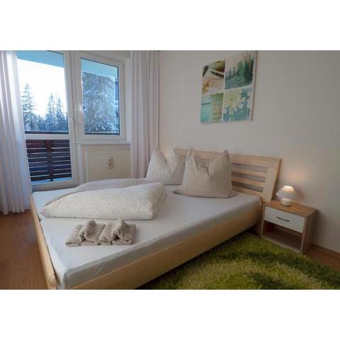 Apartman Patris 8