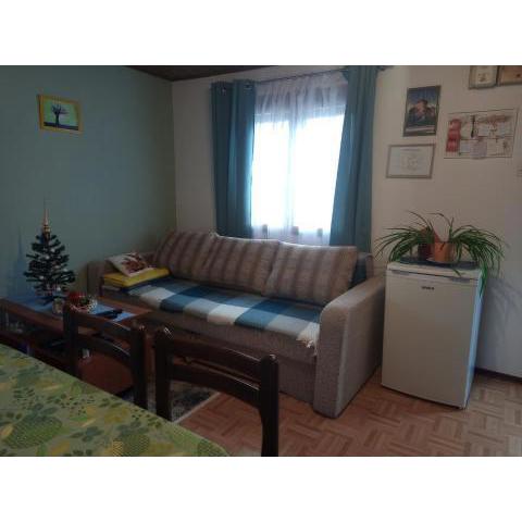 Apartman RIBIČ