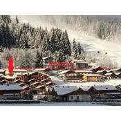 Apartment Drebes Flachau