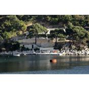 Apartments by the sea Cove Saplunara, Mljet - 4932