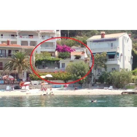 Apartments by the sea Drasnice, Makarska - 14129