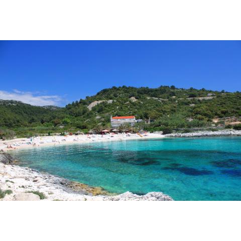 Apartments by the sea Hvar - 10430