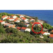 Apartments by the sea Milna, Vis - 8943