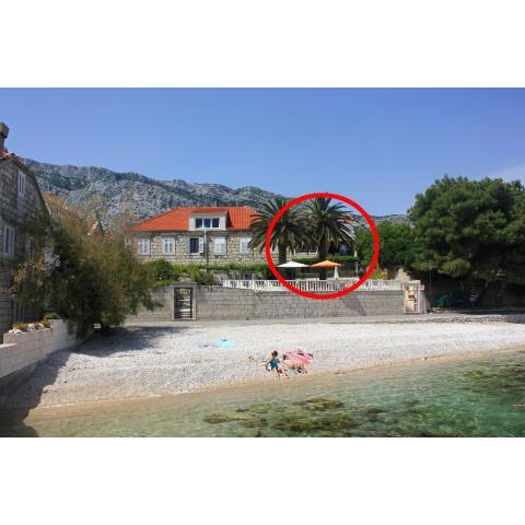 Apartments by the sea Orebic, Peljesac - 2130