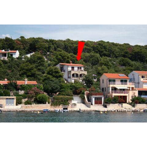 Apartments by the sea Tisno, Murter - 5142