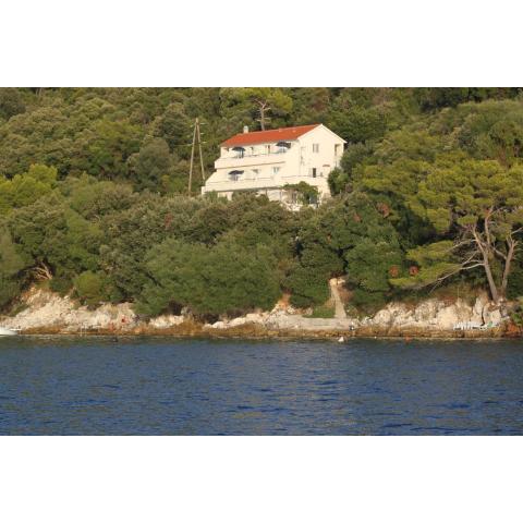 Apartments by the sea Ubli, Lastovo - 8355