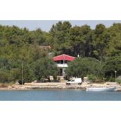 Apartments by the sea Verunic, Dugi otok - 8105