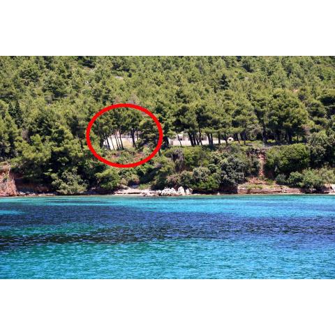 Apartments by the sea Zuljana, Peljesac - 10233