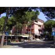 Apartments in Rosolina Mare 24870