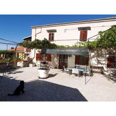 Apartments in Veli Losinj 14929