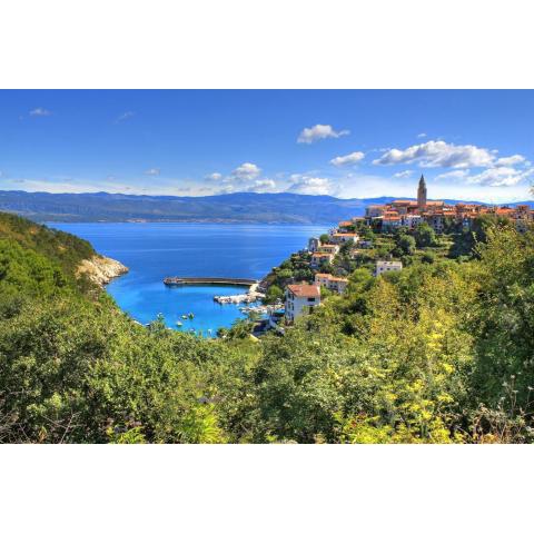 Apartments Vrbnik (879)