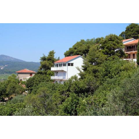 Apartments with a parking space Jelsa, Hvar - 4854