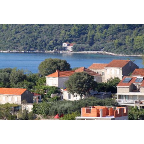 Apartments with a parking space Lumbarda, Korcula - 4473