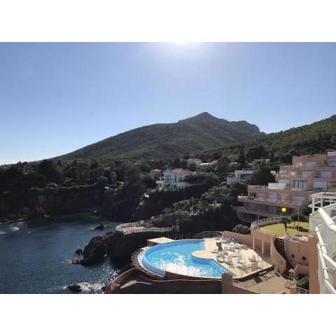 Appartement 3 pièces pieds dans l 'eau front de mer sur la côte d'Azur