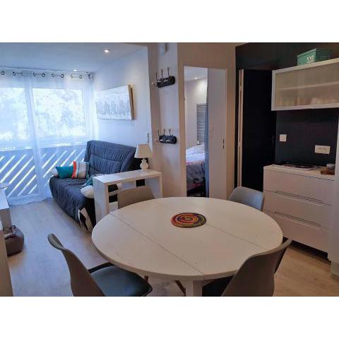 appartement à 300m de la plage