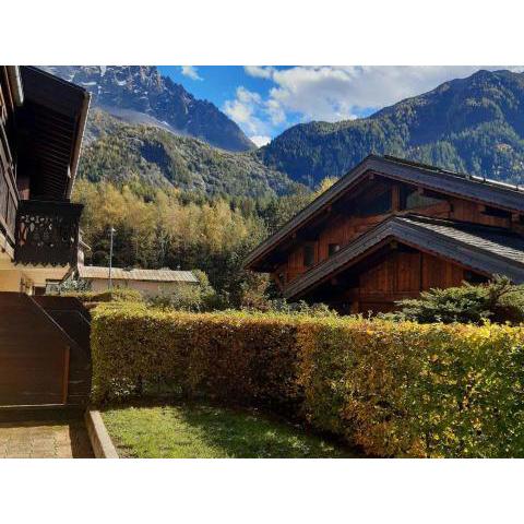 Appartement Chamonix-Mont-Blanc, 2 pièces, 4 personnes - FR-1-517-65