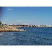 Appartement in Playa Flamenca