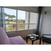 Appartement Sète, 1 pièce, 4 personnes - FR-1-338-457