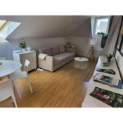 Appartement style loft en centre ville