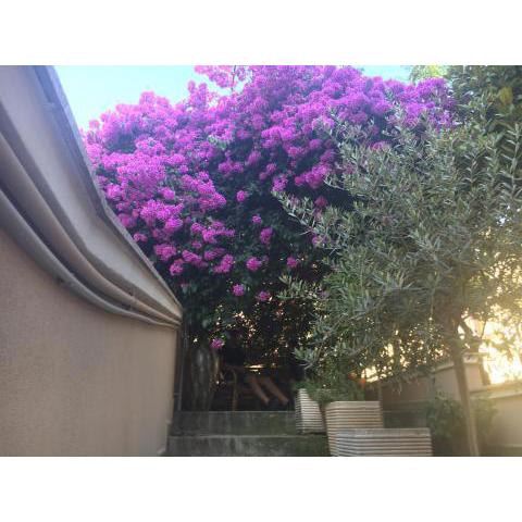 B&B La Bougainvillea