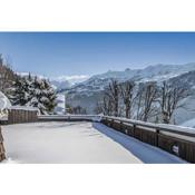 Beautiful Chalet facing South West