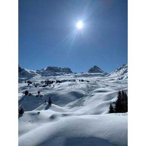 Bel appartement ski aux pieds Plagne Bellecôte