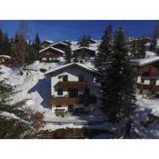 Boutique Chalet in Maria Alm near Hochk nig