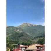 Casa La Wanda In Camaiore Toscana Terrazza