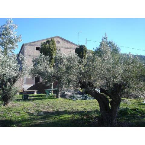 Casa Rural Masía Barbera