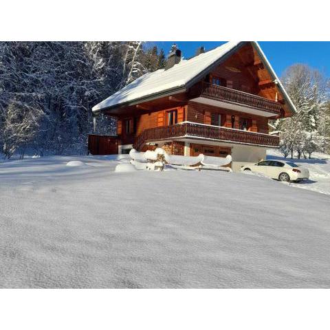 Chalet Abondance, 6 pièces, 8 personnes - FR-1-692-21