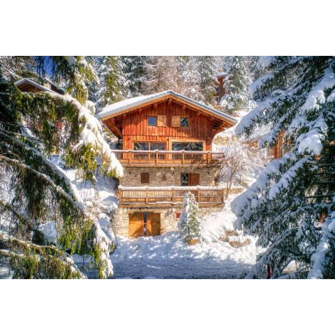 Chalet Dakota, Pied des pistes, 15 pers, La Plagne