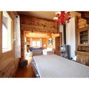 Chalet Les Carroz d'Arâches, 4 pièces, 6 personnes - FR-1-572-113