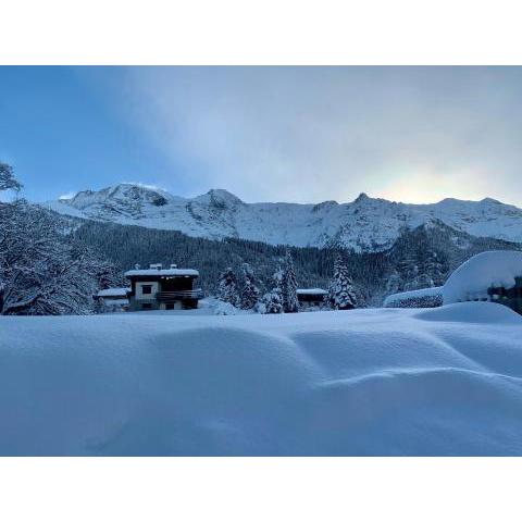 CHALET LES DOMES DE MIAGE