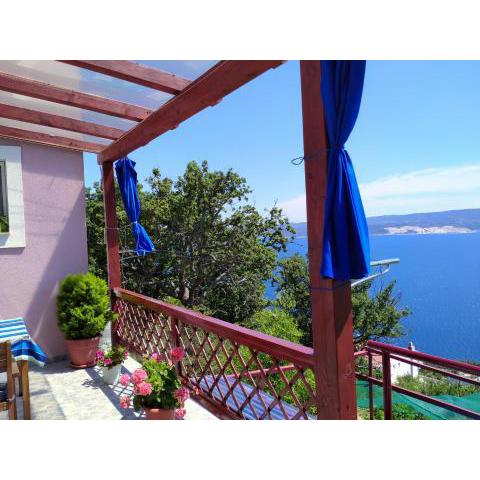 Cheerful two bedroom cottage with panoramic view in Celina