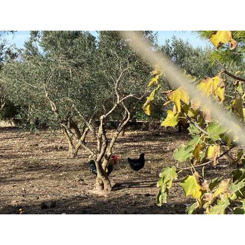 Cortijo Rural Barranco la Higuera