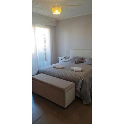 Croisette immo 1 chambre Rouaze ' Toit terrasse