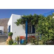 Cycladic houses in rural surrounding 3