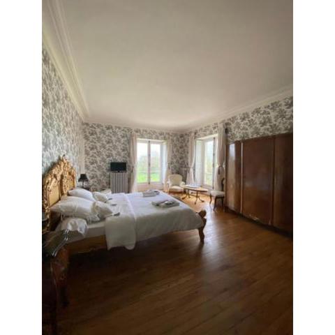 Double room in the genuine castle