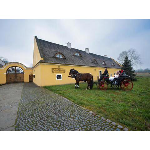 Dvůr Olšiny -Hotel and Horse-riding