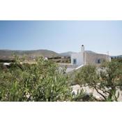 Elegant Traditional Cycladic Flat Orpheus with balcony