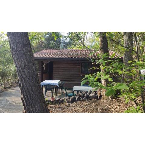 Etna Rural Cottage with Jacuzzi