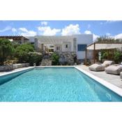 Executive Paros Villa Villa Zefyros Sea Views Private Pool Kostos Damouli