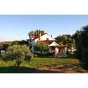 Family friendly house with a parking space Pucisca, Brac - 749