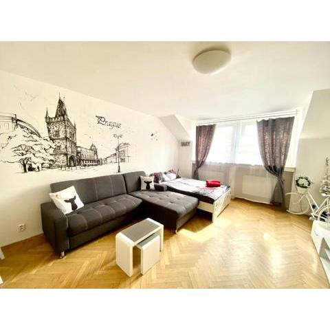 Fantastic apartment in the city center