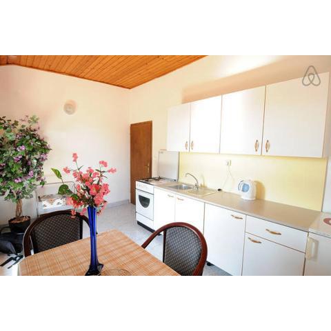 Fully Equipped 2 Bedroom Apartment in Pirovac